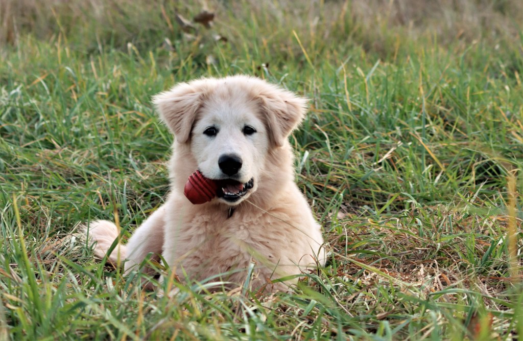 Treating Cuts and&nbsp;Scrapes